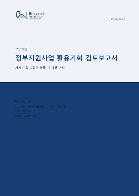정부지원사업 활용기회 검토보고서 표지